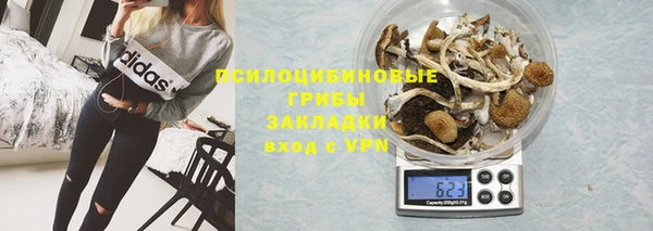 дмт Бронницы
