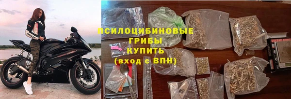 мдпв Верхний Тагил