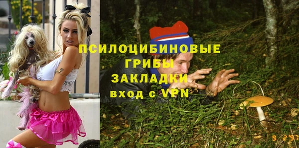 тгк Бугульма